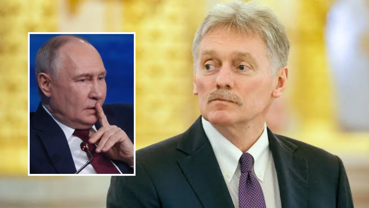 Putin orders temporary halt to strikes on Kyiv – Peskov